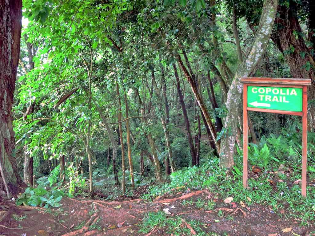 Copolia Trail, Mahe, Seychelles
