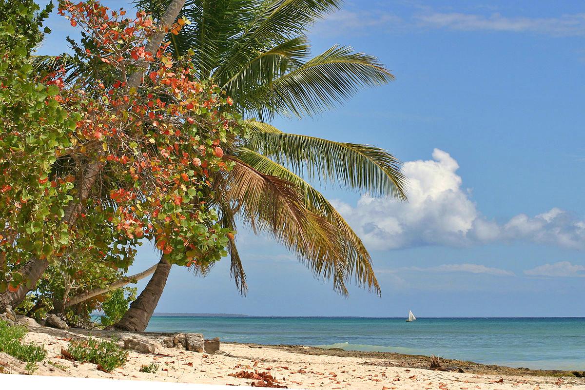 Cotubanamá National Park, Bayahibe, Dominican Republic