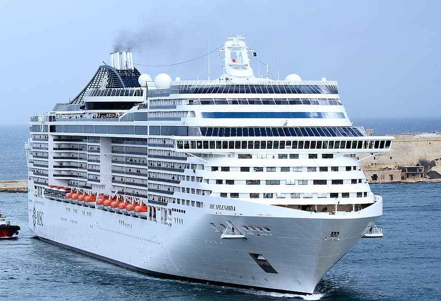 Cruise Lines To Require Negative COVID-19 Tests For All Passengers