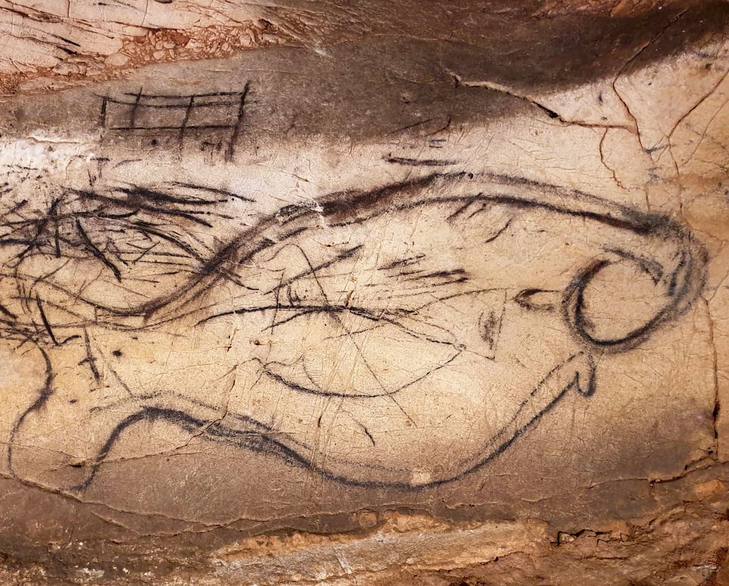 Cueva de la Pileta