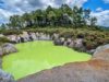 Visit These Weird But True Attractions In New Zealand This Year