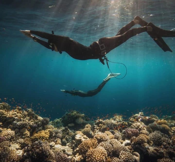 Scuba diving in Dominica