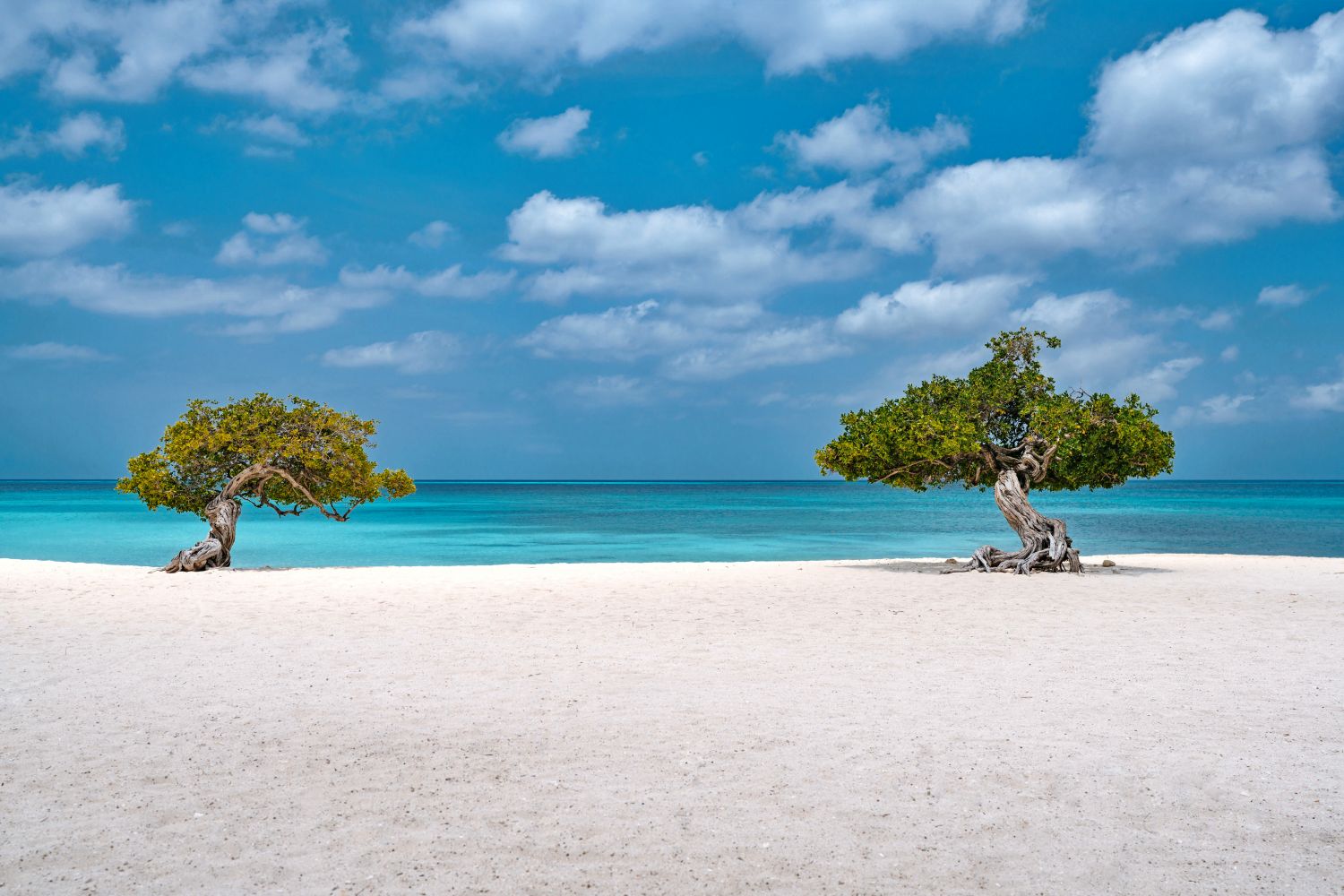 White sand Eagle Beach