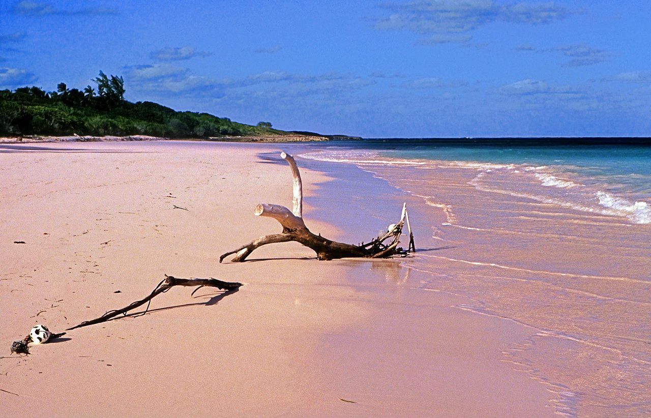 Pink sand beaches in Eleuthera