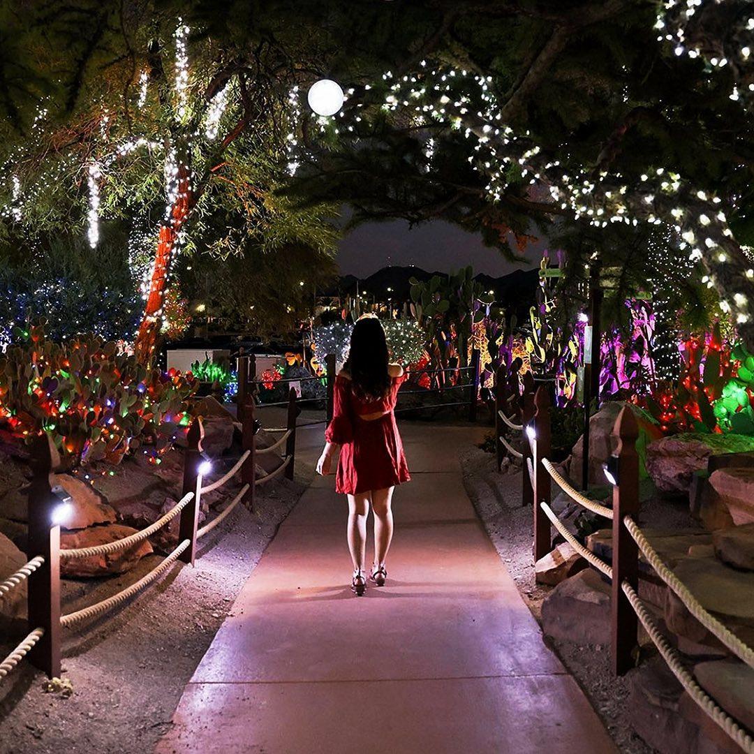 Ethel M. Chocolates turns Cactus Botanical Garden into a Christmas wonderland