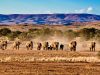 4 Most Beautiful National Parks To Visit In Namibia