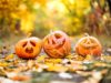 Top Spooky Destinations In Europe To Visit On Halloween In 2024