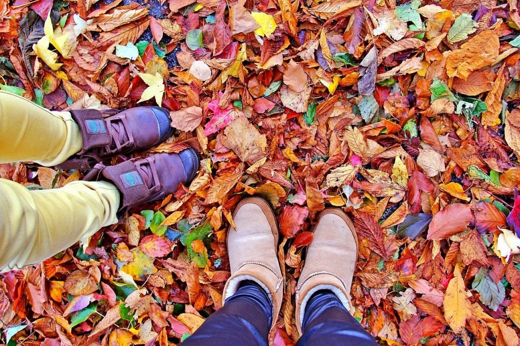 5 Of The Best Places In Europe To See Fall Colors