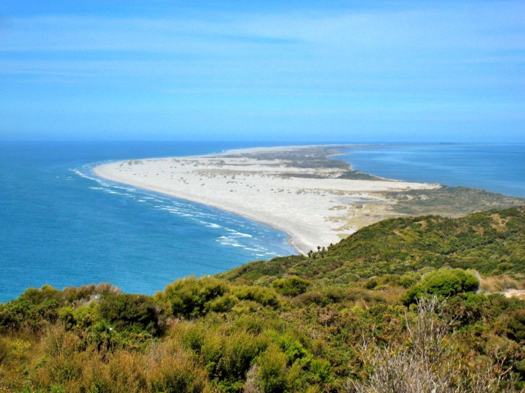 visit-these-weird-but-true-attractions-in-new-zealand-this-year