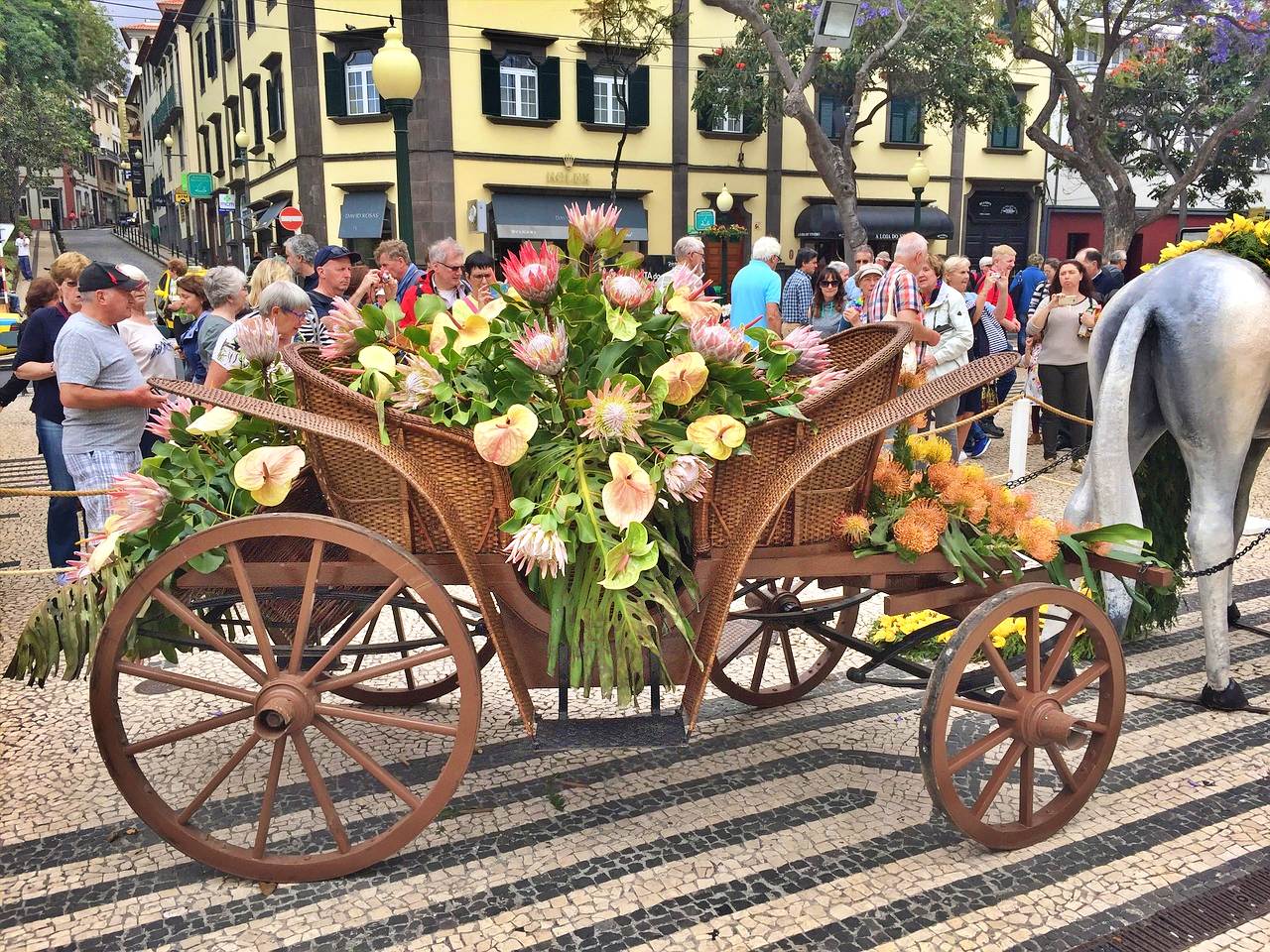 Flower festival, Funchal