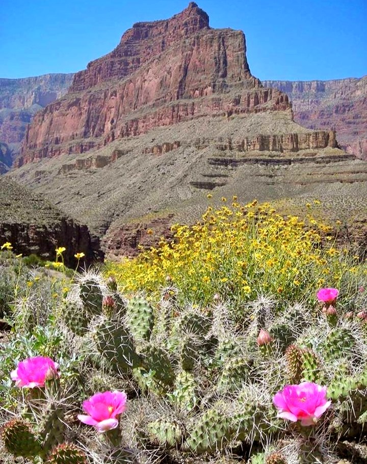 Grand Canyon National Park