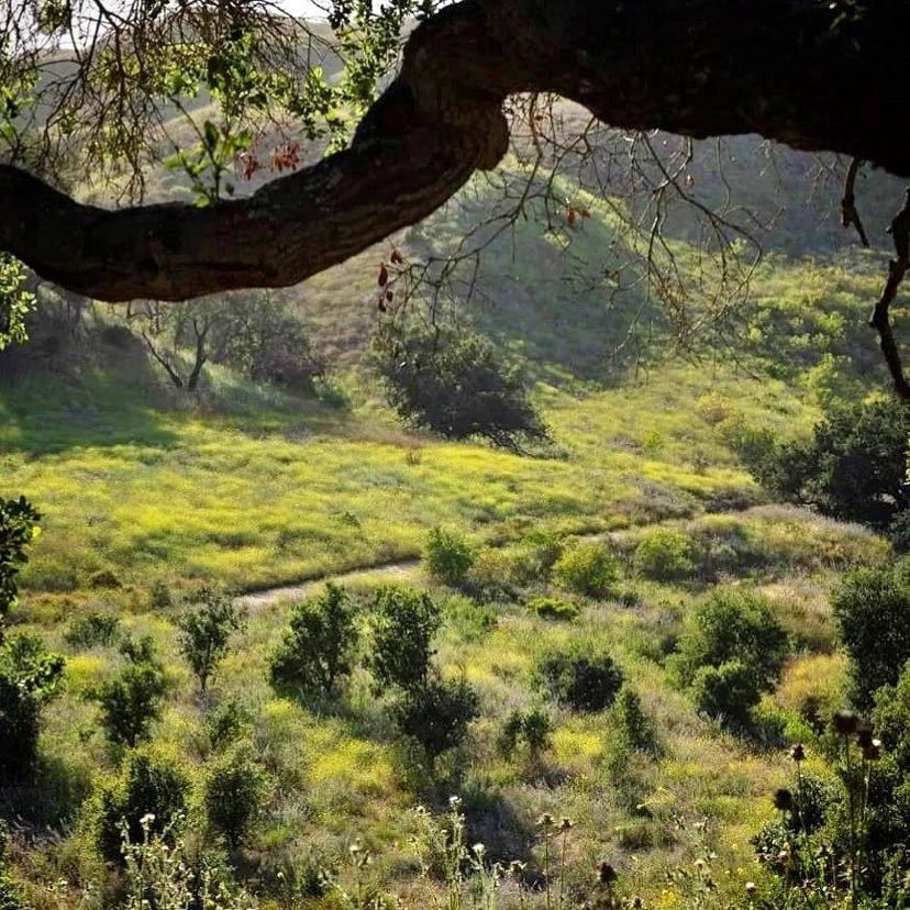 Ropersmith hiking trail