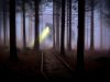 Stay In A Haunted House Or Spooky Castle In Sweden This Halloween