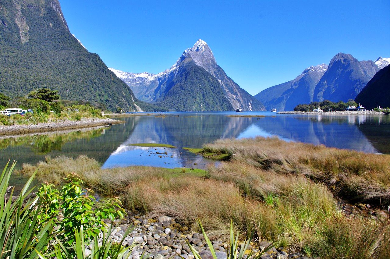 Hiking in Fiordland National Park, New Zealand [Image by Fred T. from Pixabay]