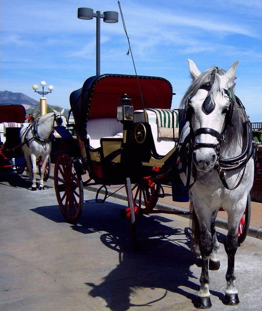 Horse-drawn carriage, Spain