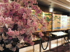 Family Accommodations in Tokyo: Affordable, Mid-Range And Where To Splurge