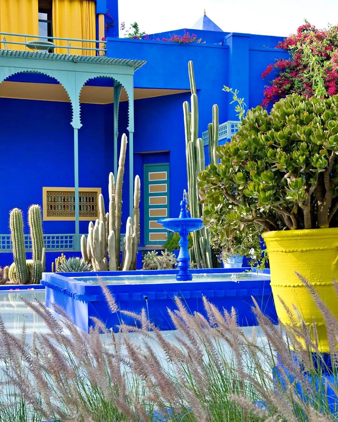 Jardin Majorelle, Marrakesh, Morocco