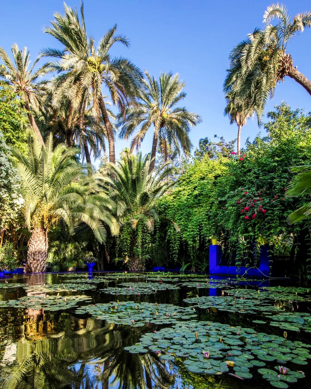Jardin Majorelle, Marrakesh, Morocco