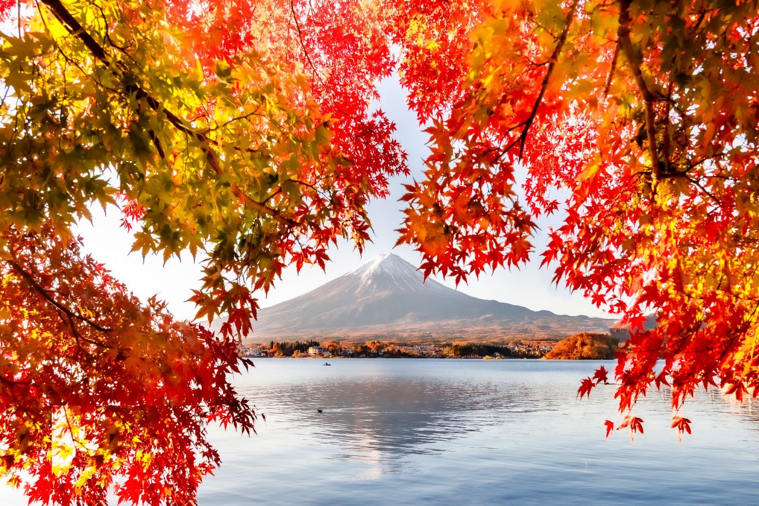 View of Mount Fuji