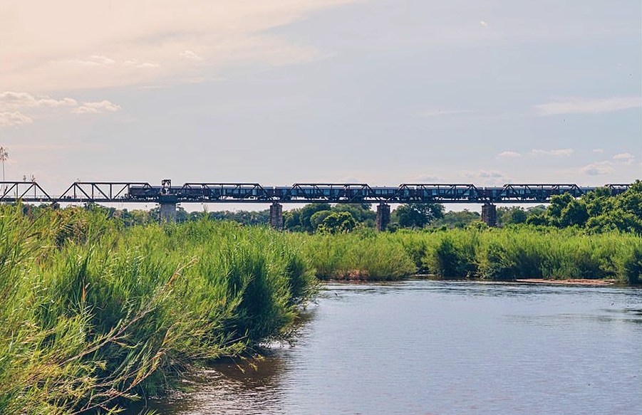 Kruger Shalati: Train On The Bridge