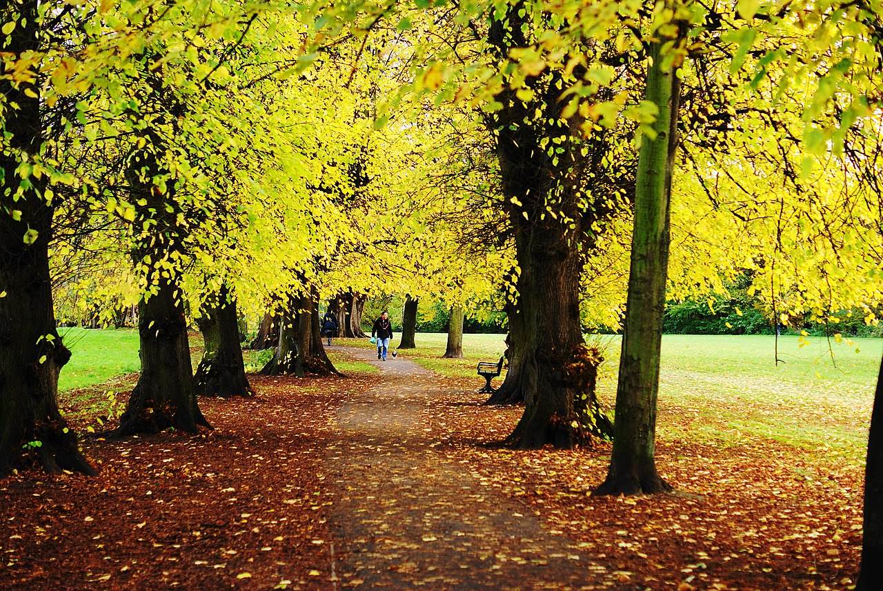 Best cities to visit in the fall according to Timeout