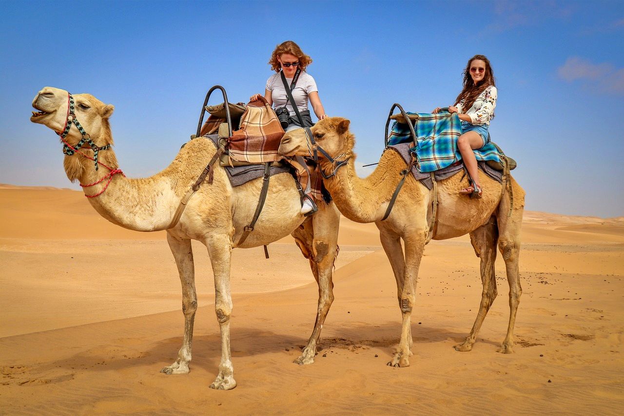 Camel riding in Marrakesh, Morocco