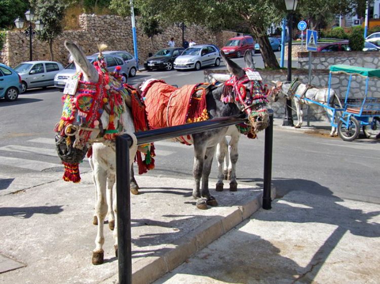 Mijas, Andalucia, Spain