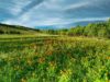 Lonely Planet Reveals Best In Travel 2024 Destinations