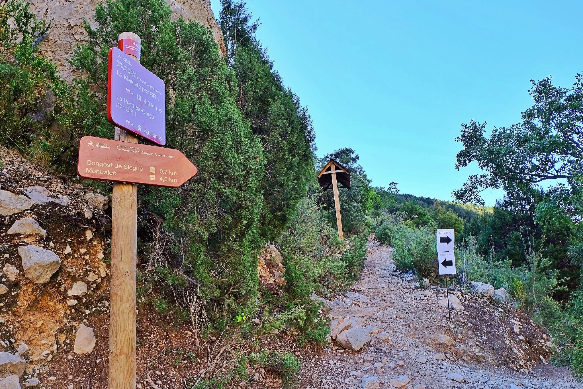 Start of the trail