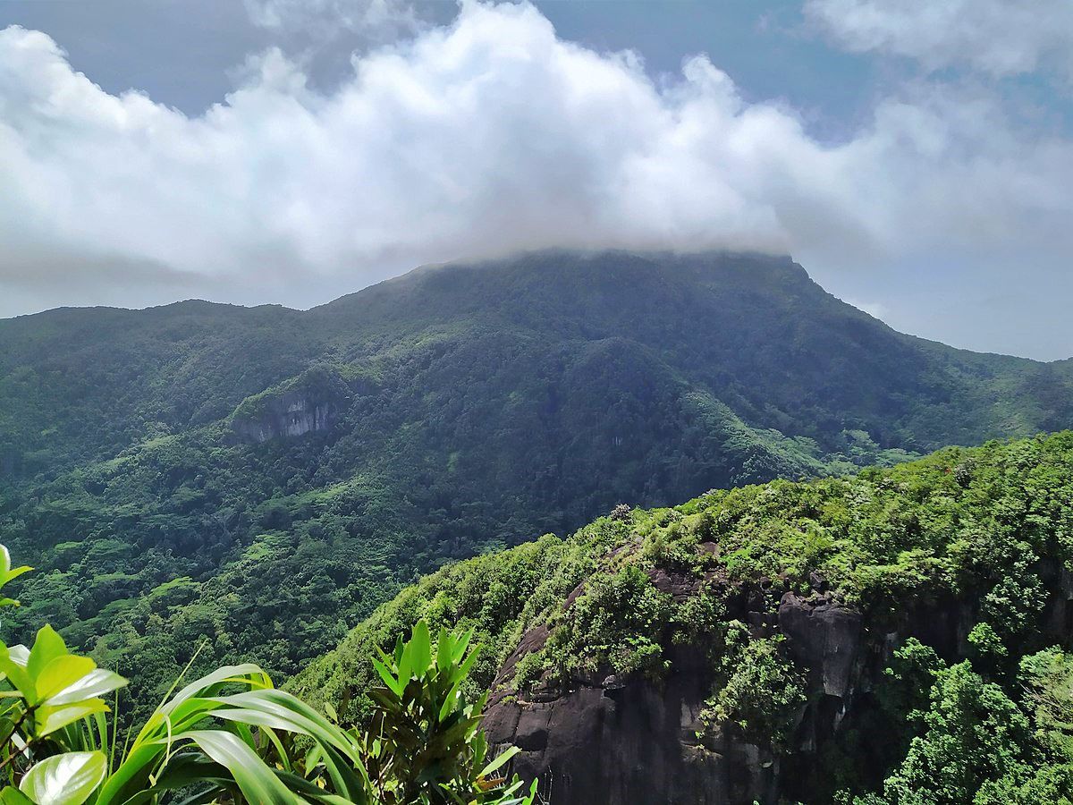Morne Seychellois National Park, Seychelles