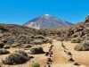 Budget Travel: 5 Things To Do For Free In Tenerife