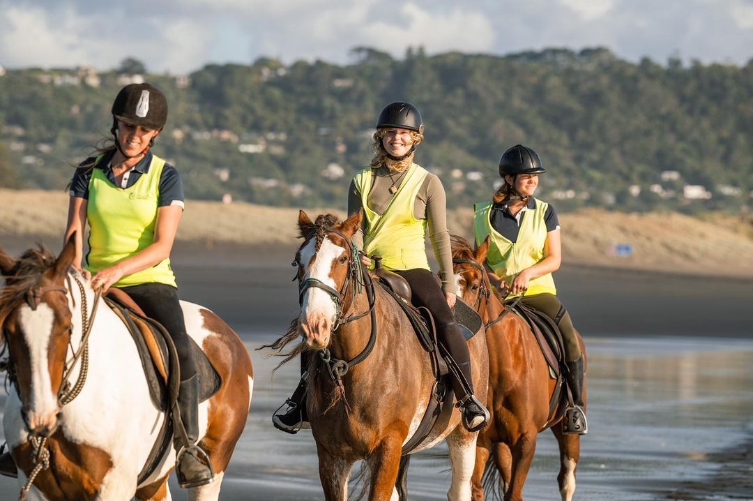 Explore New Zealand with horse trekking