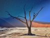 Vacation In Namibia – Do You Need A Visa To Visit?