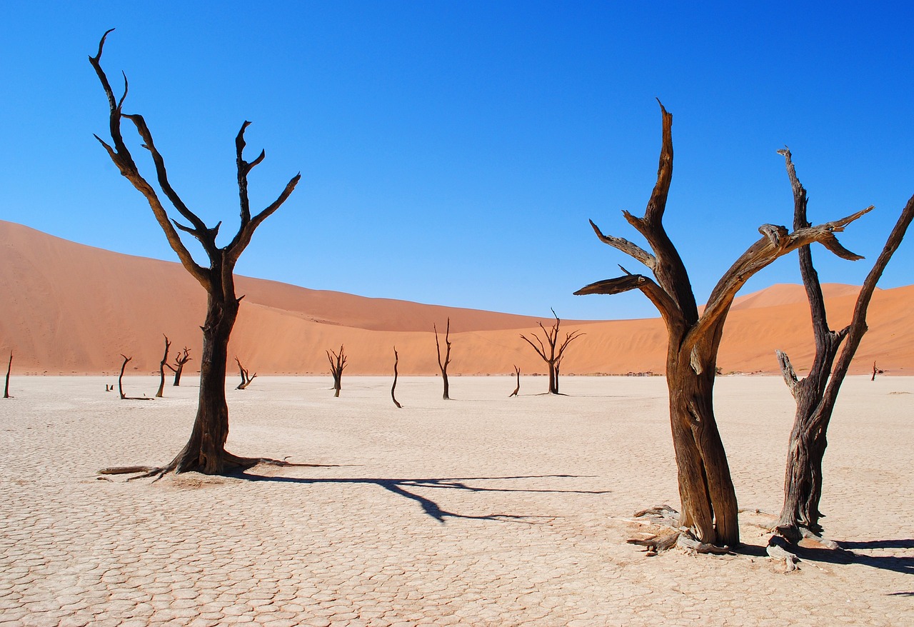 Sustainable travel in the deserts of Namibia