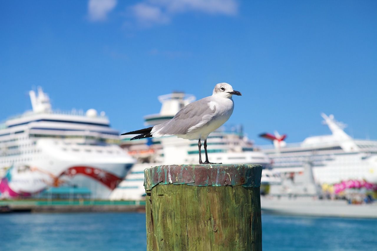 Nassau Cruise Port in the Bahamas