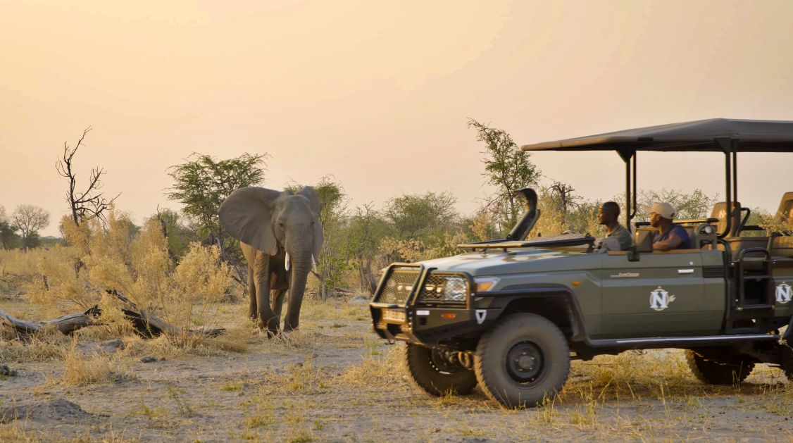 Nat Hab introduces new electric safari vehicle in Botswana