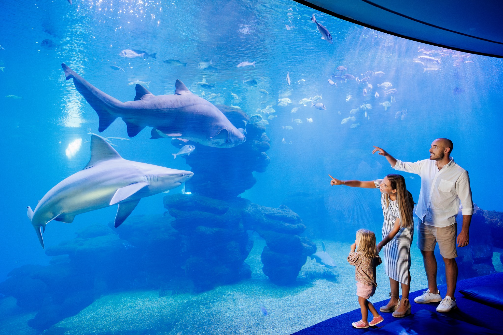 Palma Aquarium