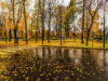 Timeout Reveals The 5 Best Global Cities For Fall Travel