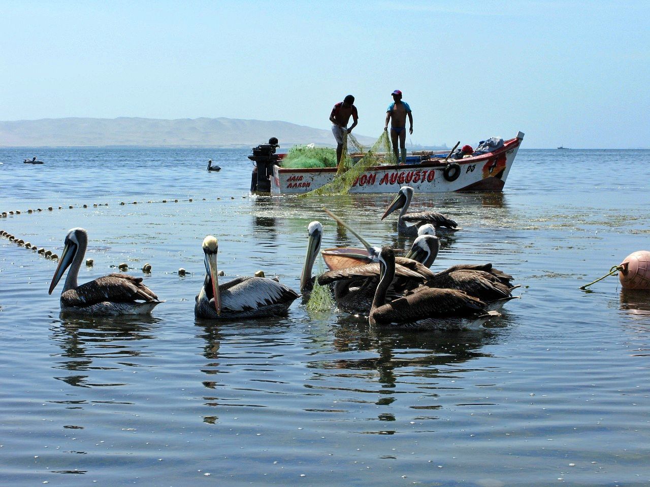 Pelicans and fishermen on the Paracas Peninsula