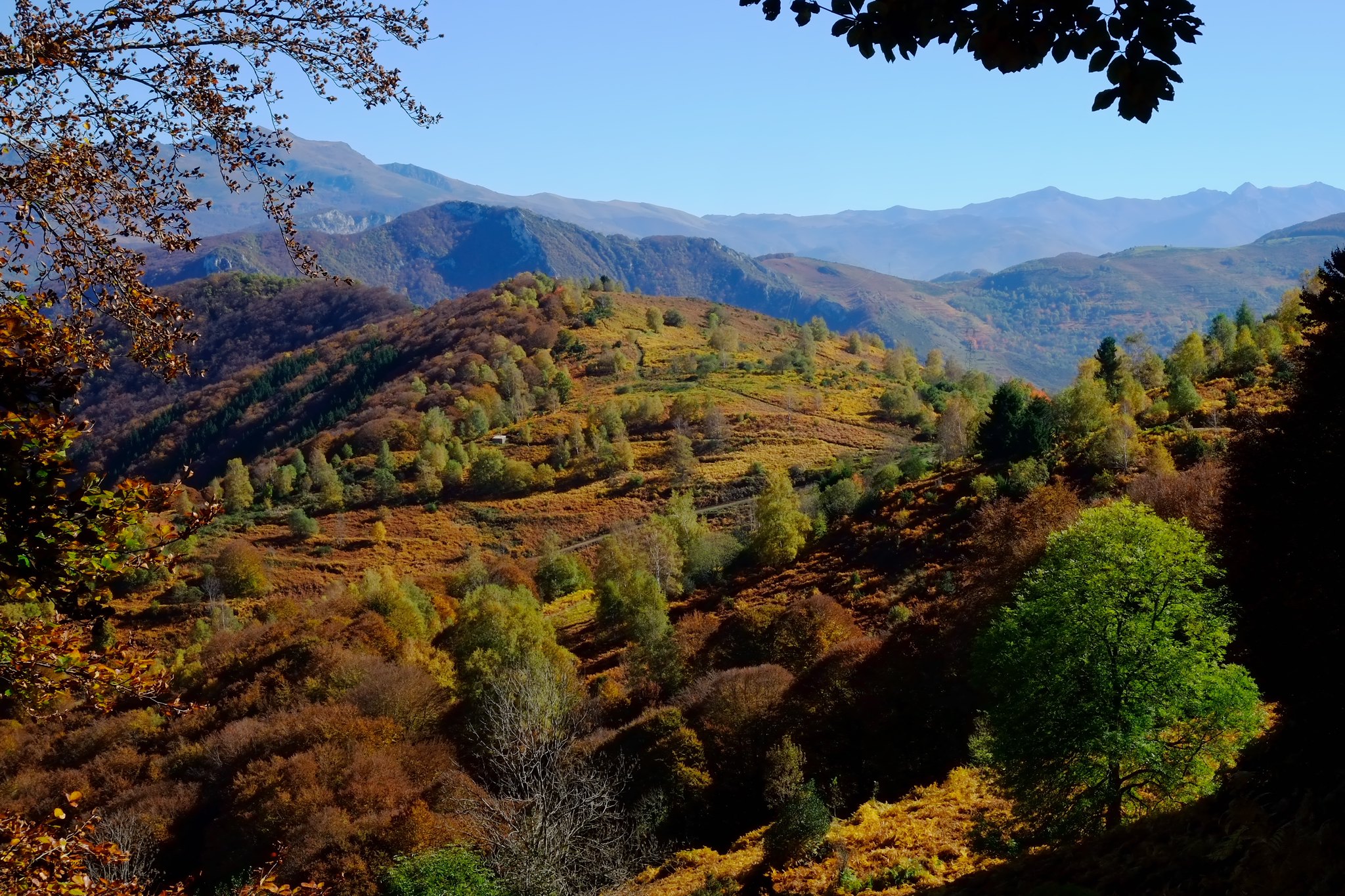 Fall colors in the Pyrenees Mountains