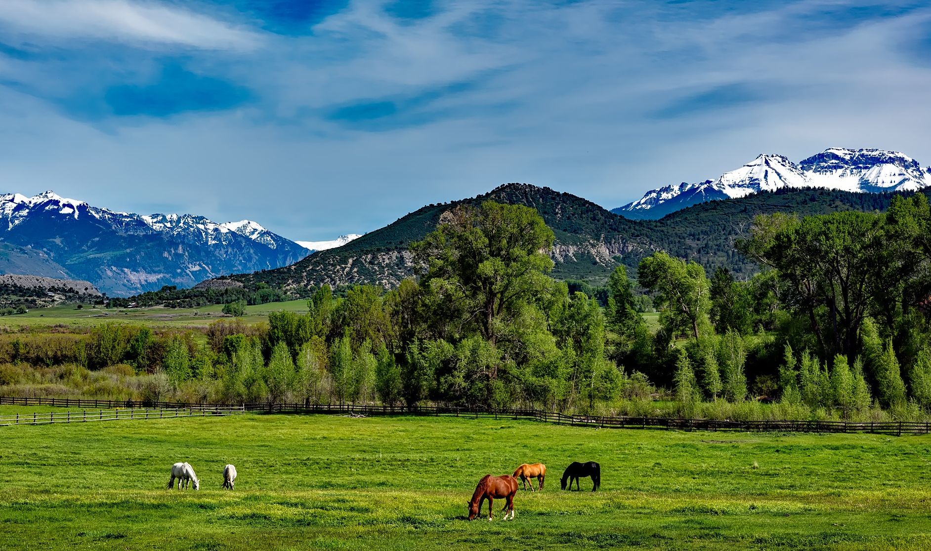 Ranch vacations in USA