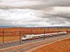 Renfe Runs Trial To Allow Large Dogs On Trains In Spain