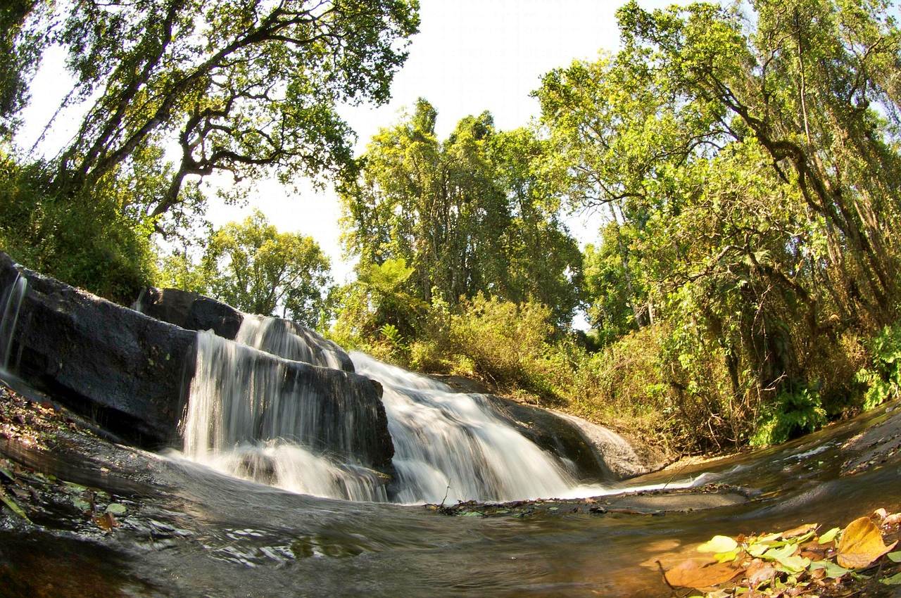 On Zomba plateau