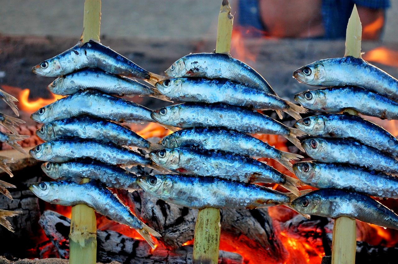 Sardines on the beach