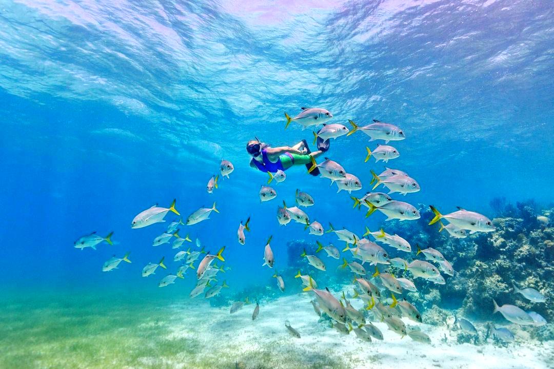 Scuba diving in Turks and Caicos