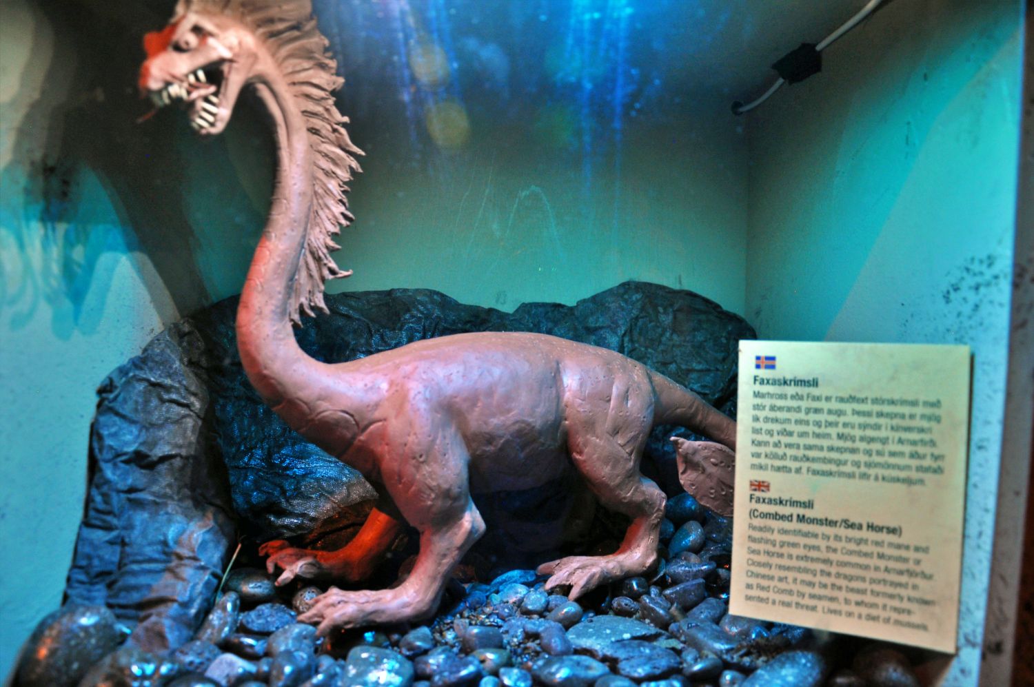 Sea Monster Museum - Faxaskrímsli - Combed Monster/Sea Horse