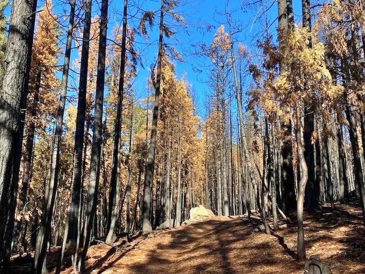 Part of the trail