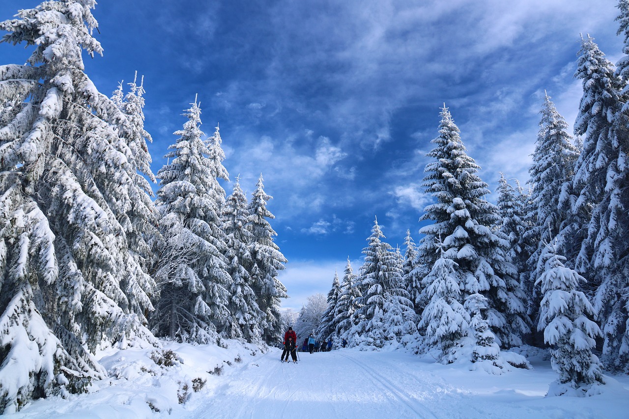 European ski slope
