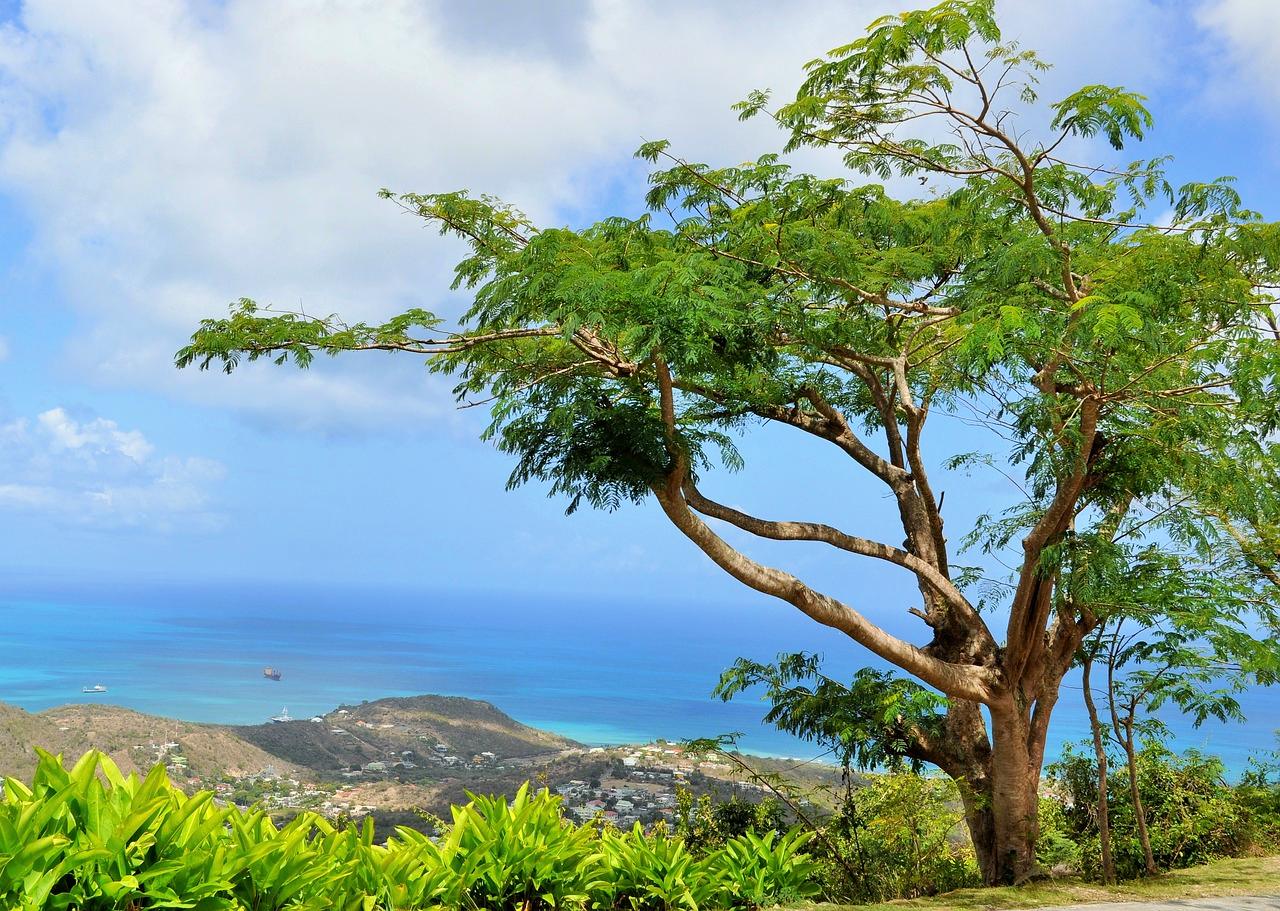 St. Martin / Sint Maarten, Caribbean