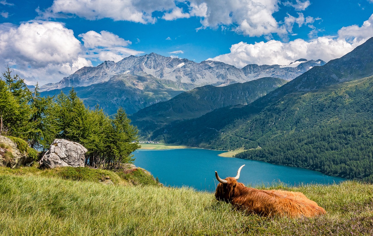 Lake in Switzerland